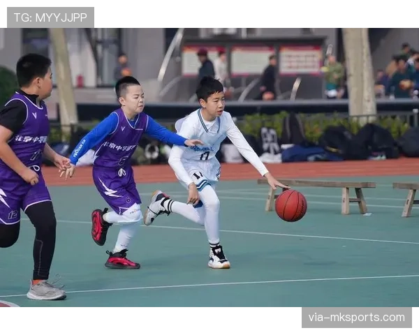 篮球合理冲撞区判罚全解读,核心就是禁区内的撞与被撞 篮球合理冲撞区判罚全解读,核心就是禁区内的撞与被撞